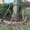 Early 1900's unidentified bicycle