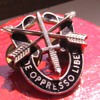 My Brother's U.S. Army Special Forces ("Green Beret") Regimental Crest Pin, circa 1970's - Symbols of Unconventional Warfare