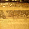New York Tribune - 1904 Firemen's Parade