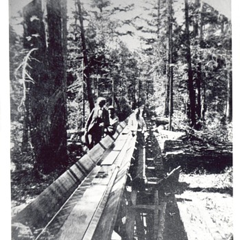 Boldercreek to Felton flume - Photographs
