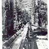 Boldercreek to Felton flume