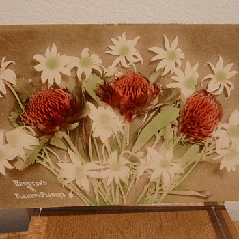 WARATAH'S (sic) AND FLANNEL FLOWERS c.1914