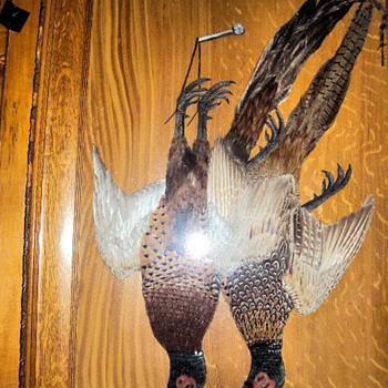 antique pheasant feather picture
