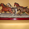 WILD HORSES