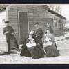 Down on the farm