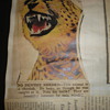Ca. 1932 Frederick E Loxley Circus Scrapbook