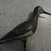 Really cool old plover decoy I found... 