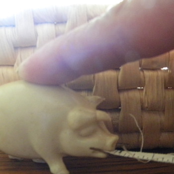 My pig - Animals