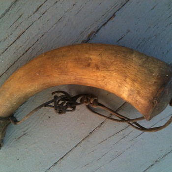 powder horn