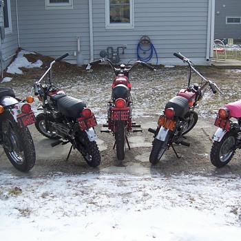 My AerMacchi Harley-Davidson Collection