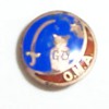 OMA Pinback any idea what the OMA is?