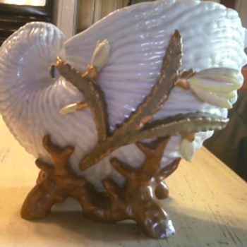 Dresden Nautilus Shell