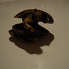 man in open shell netsuke