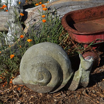 Very large and old Garden Snail - Animals