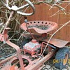 Vintage Tractor lawnmower buried under my bush and Waterpump