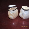 Shell salt and pepper shakers, hinged and very light.
