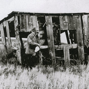 Homestead Shanty