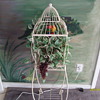 Wrought Iron Bird Cage