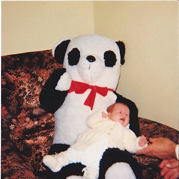 My first Panda - Animals