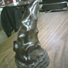 Rhinoceros Horn?