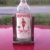Old Gallon Gin Bottle