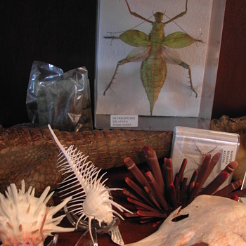 Naturalia