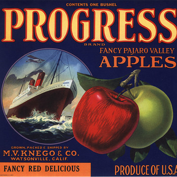 Progress rare Watsonville apple crate label - Paper