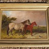 Old Beautiful Horse and colt  Oil painting