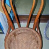 Oak cane bottom chair