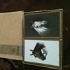 1939 riviera boxed set of thoroughbred playing cards