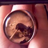 GODZILA RING 