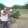 blunderbuss'