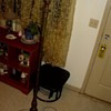 brass bamboo floor lamp