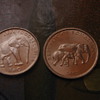 Elephant coins
