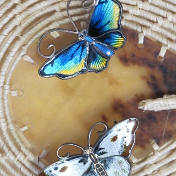 Butterflies From Norway