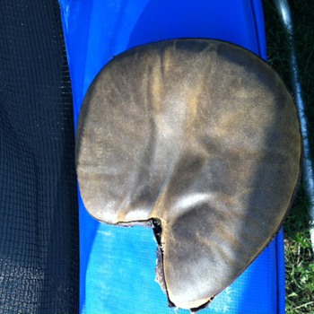 Found this old baseball glove