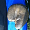 Found this old baseball glove