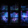 Another Cabinet Of Uranium/Vaseline Glass 