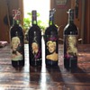 Beautiful Marilyn Monroe/Norma Jeane Wine Collections