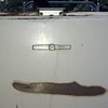 My vintage refrigerator