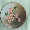 Painted Plate-1894
