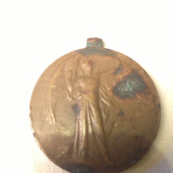WW1 medal ? ( 53063  PTE      A  J BROWN.   DEVON  R) - Military and Wartime