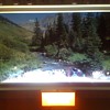 Some of my favorite lighted signs