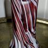My lovely new vase - Rindskopf (Radicchi;o)