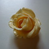 White rose brooch