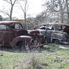 Some More Images From Around My Town