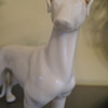 GreyHound