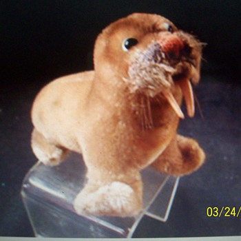 Steiff  mohair walrus, ca 1950's