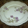 Bavarian China - Early 1900's?