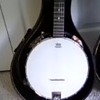 Brand New Kay Banjo 